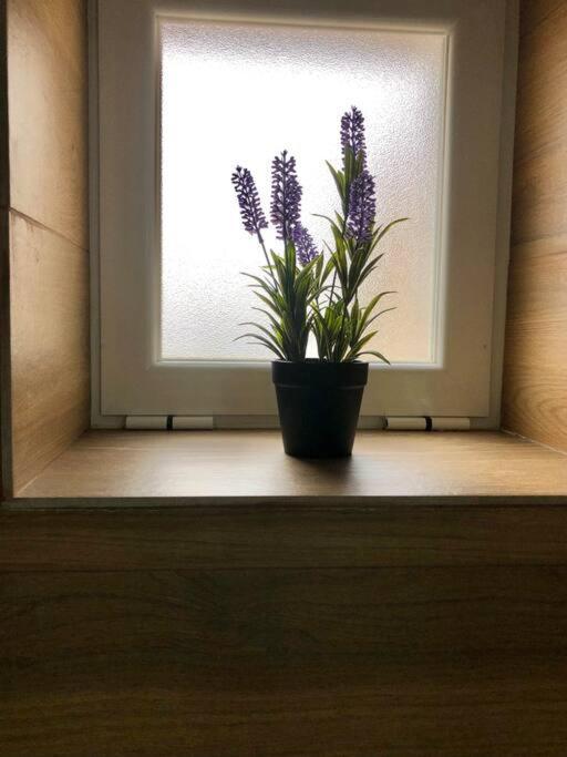 A&C Cozy Apartment Elvas Exterior foto